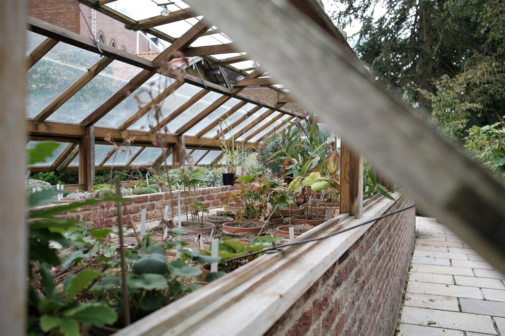 greenhouse, garden, plants-6577750.jpg