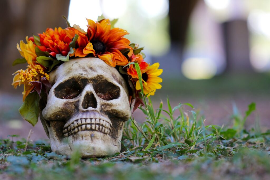 halloween, skull, diy-4814489.jpg